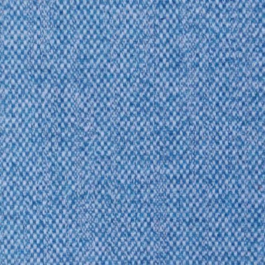 Voyage Selkirk Delphinium