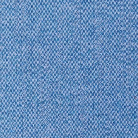 Voyage Selkirk Delphinium