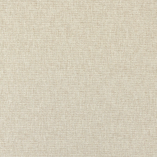 Clarke & Clarke Eco Friendly Avani Linen