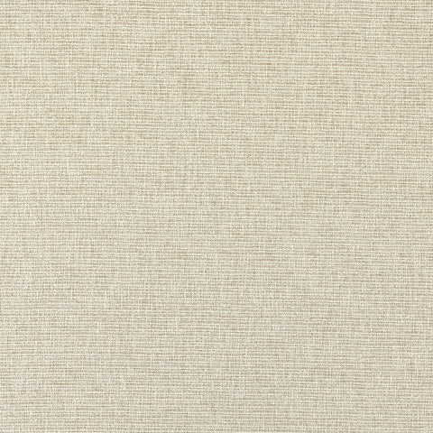 Clarke & Clarke Eco Friendly Avani Linen