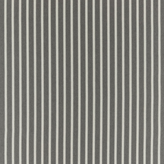 Clarke & Clarke Anderson Charcoal Fire Retardant