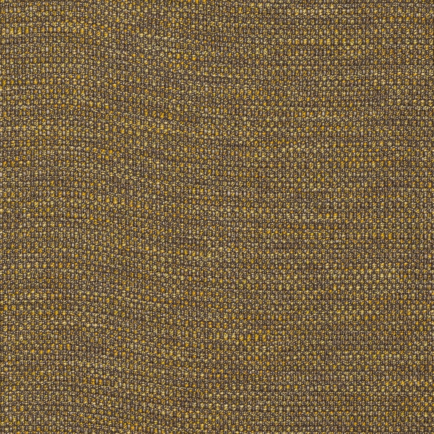 Fryetts Sparta Ochre