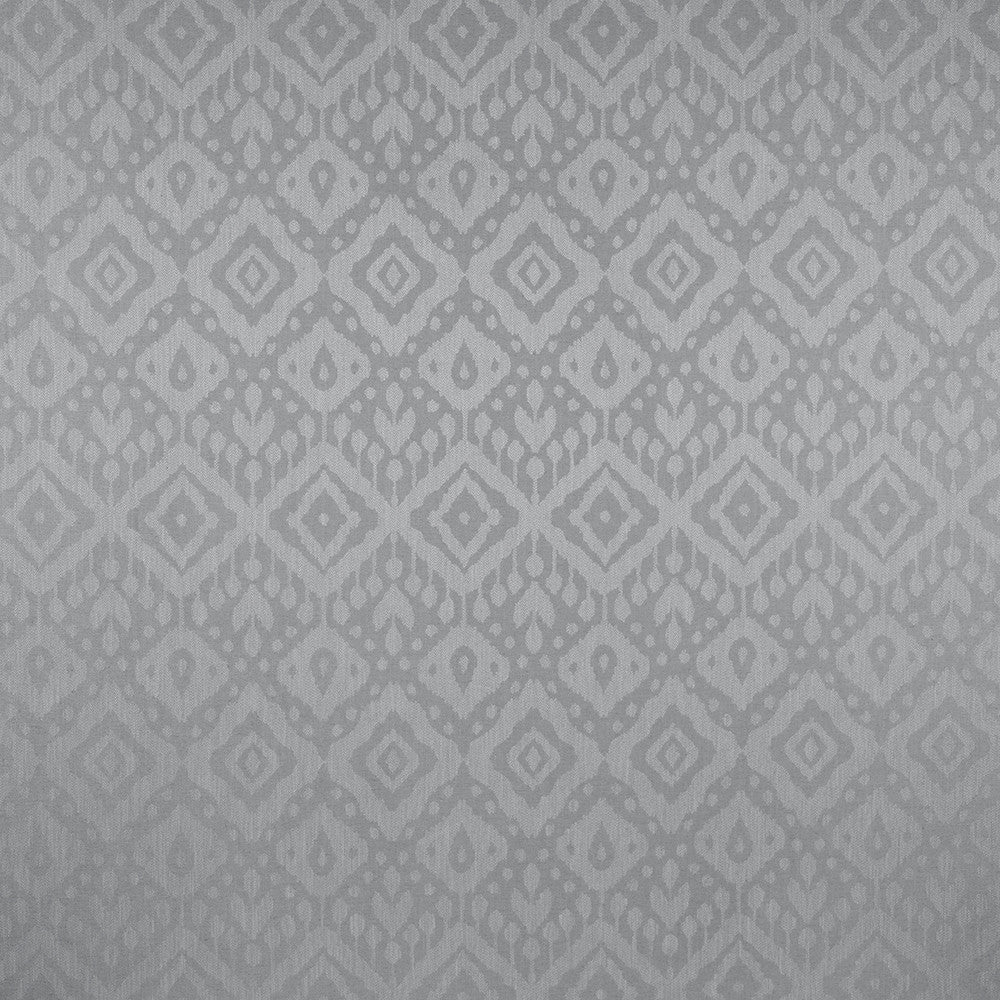 Iliv Mendoza Glacier