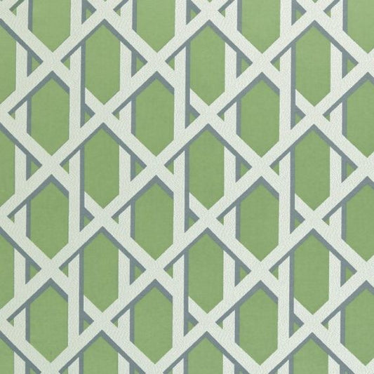 Ashley Wilde Lattice Kiwi