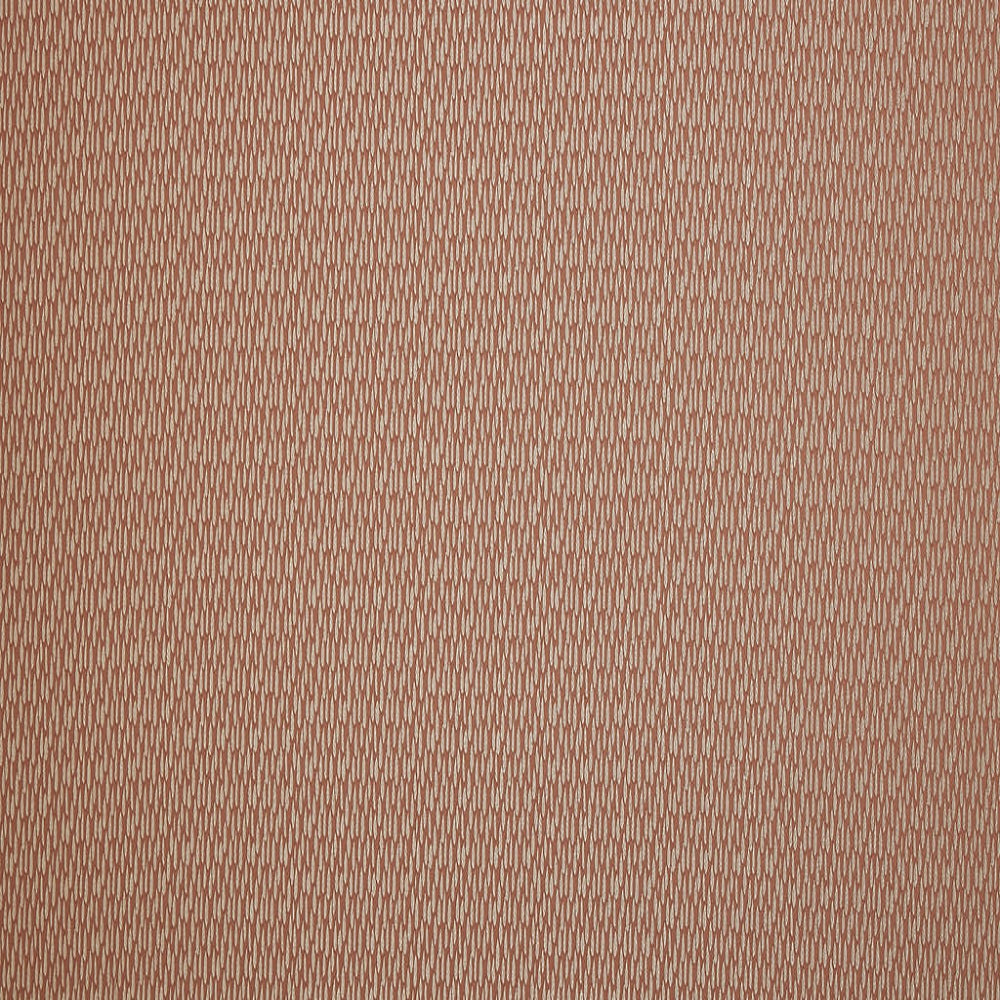 Ashley Wilde Astrid Coral