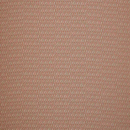 Ashley Wilde Astrid Coral