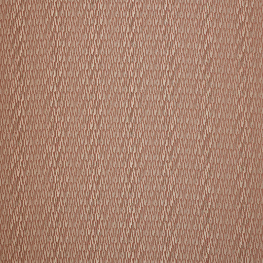 Ashley Wilde Astrid Coral