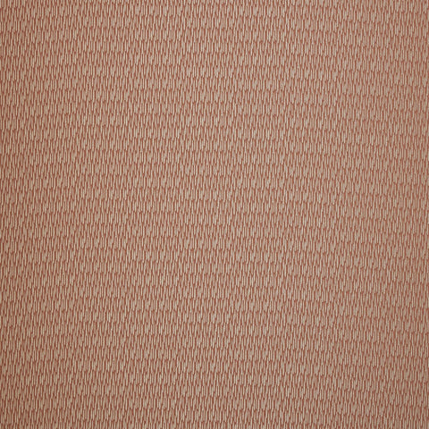 Ashley Wilde Astrid Coral