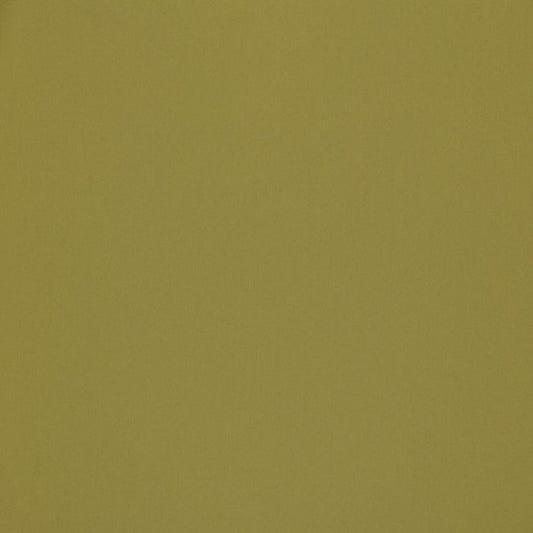 Ashley Wilde Omari Lime