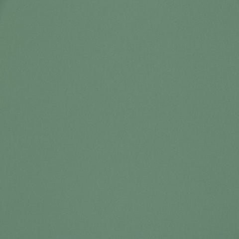 Ashley Wilde Omari Mint