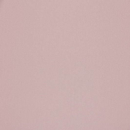 Ashley Wilde Omari Shell