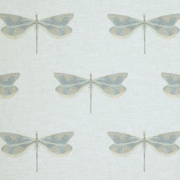 Kai Jewelwing Riviera