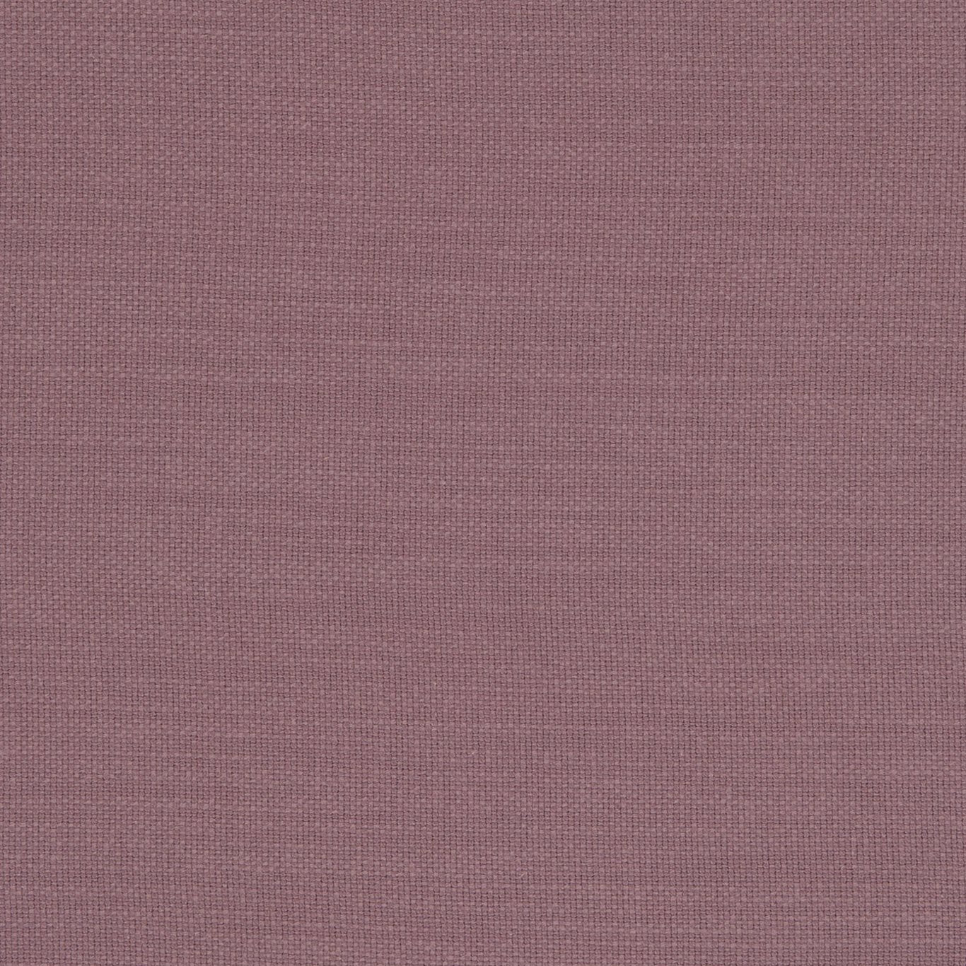 Clarke & Clarke Nantucket Heather