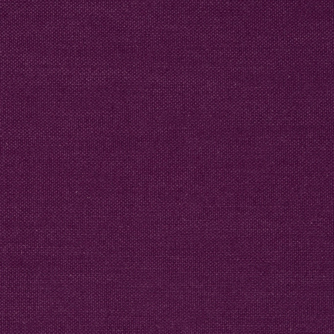 Clarke & Clarke Nantucket Violet