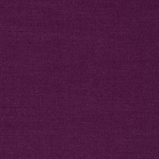 Clarke & Clarke Nantucket Violet