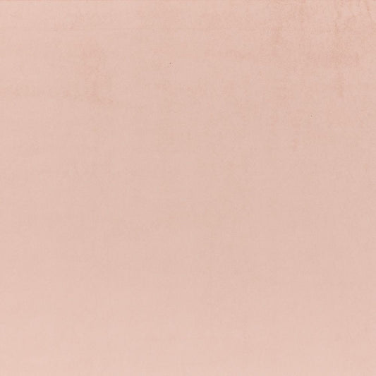 iLiv Brightwell Orchid Velvet