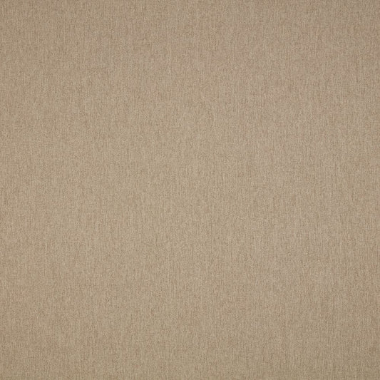 iLiv Calvert Caribou