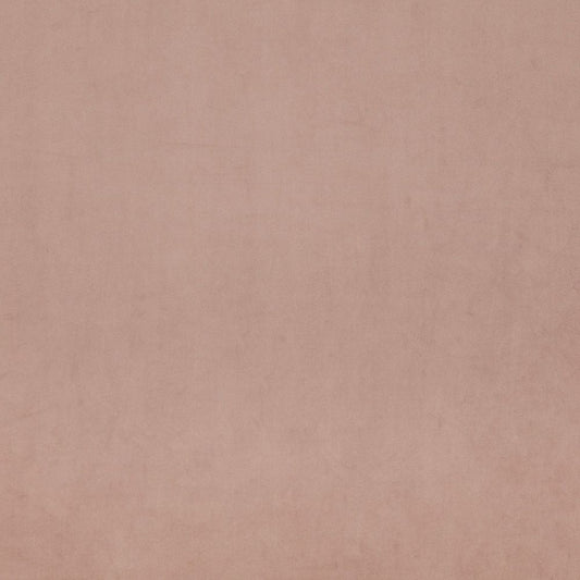 iLiv Mylo Allium Velvet