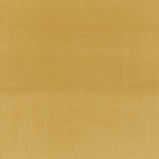 iLiv Mylo Marigold Velvet
