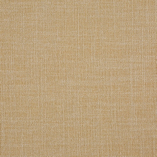 Prestigious Textiles Whisp Sheer Straw