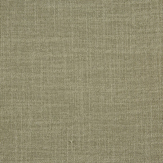 Prestigious Textiles Whisp Sheer Willow