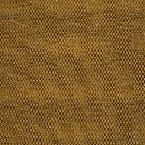 Prestigious Textiles Leon Honey Chenille