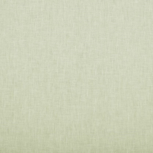 Ashley Wilde Cole Aloe