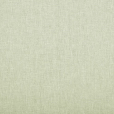 Ashley Wilde Cole Aloe