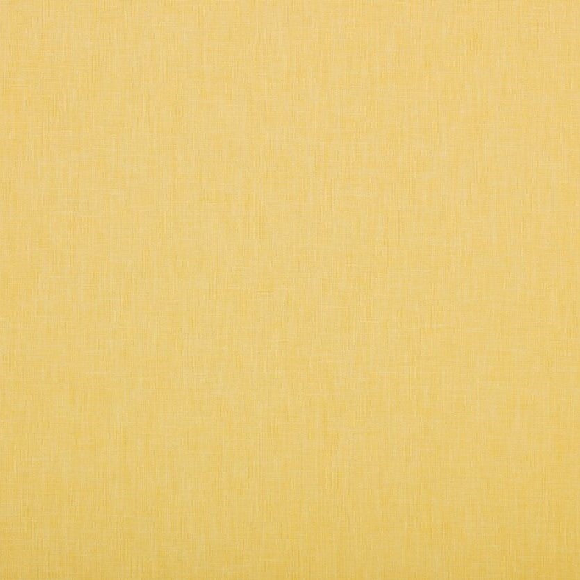 Ashley Wilde Cole Buttercup