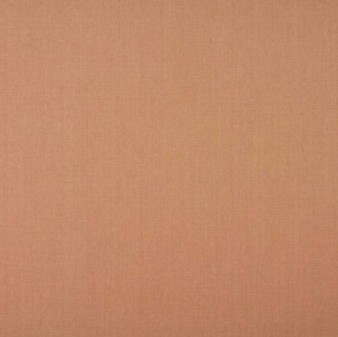 Ashley Wilde Cole Blush