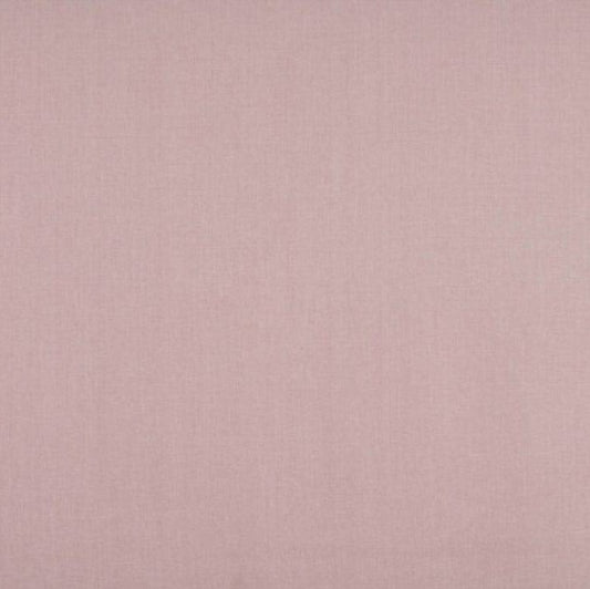 Ashley Wilde Cole Candyfloss