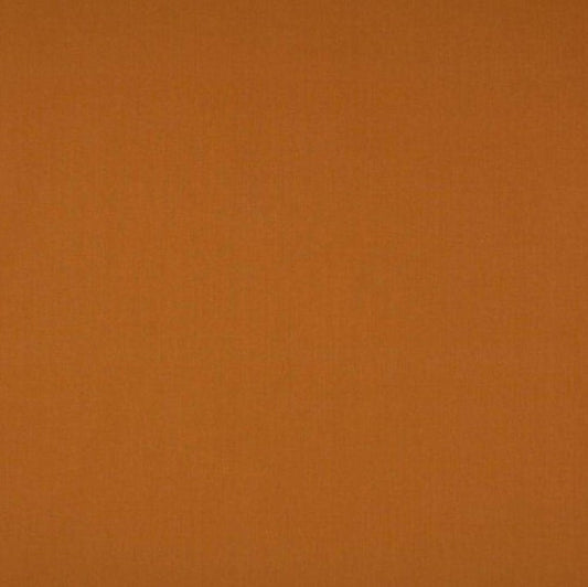 Ashley Wilde Cole Clementine