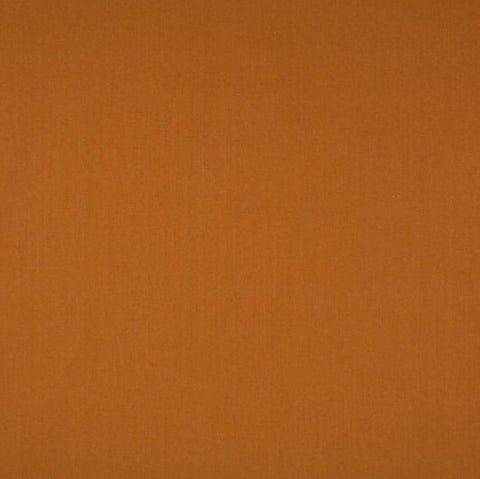 Ashley Wilde Cole Clementine