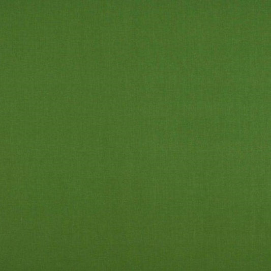 Ashley Wilde Cole Fern