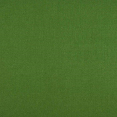 Ashley Wilde Cole Fern