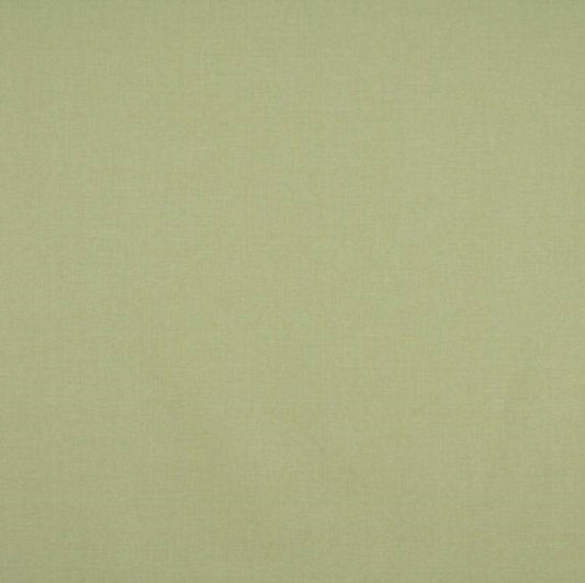 Ashley Wilde Cole Pistachio