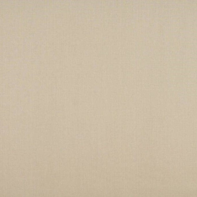 Ashley Wilde Cole Shell