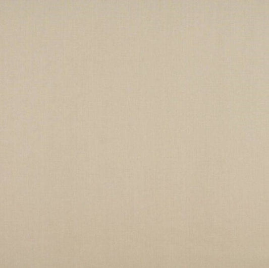 Ashley Wilde Cole Shell