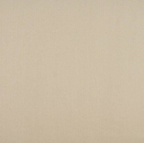 Ashley Wilde Cole Shell