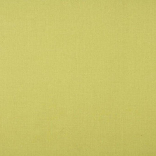 Ashley Wilde Cole Sorbet