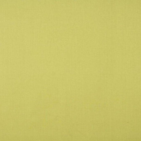 Ashley Wilde Cole Sorbet