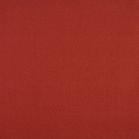 Ashley Wilde Cole Strawberry