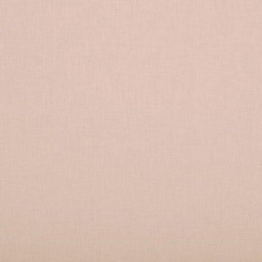 Ashley Wilde Cole Petal