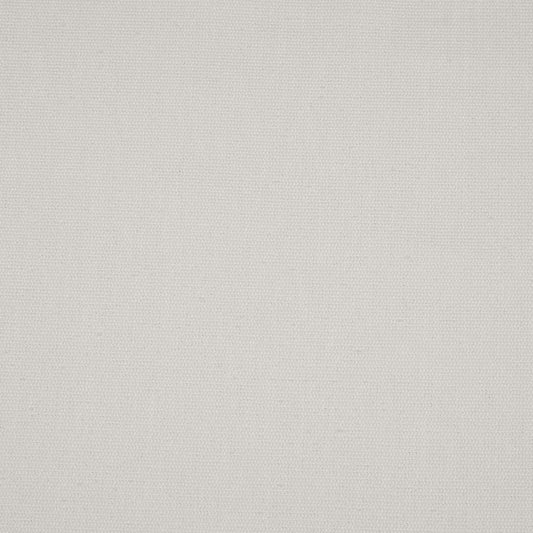 iLiv Eco Friendly Kapila Oyster