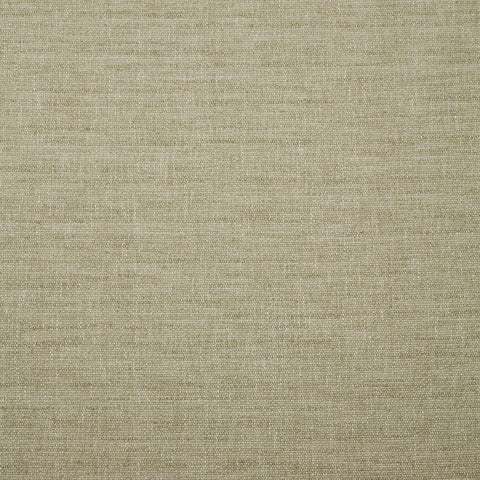 iLiv Eco Friendly Kapila Moss