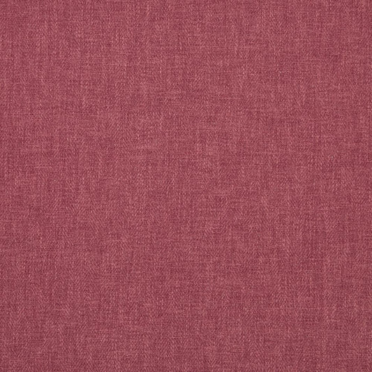 iLiv Eco Friendly Jovonna Begonia