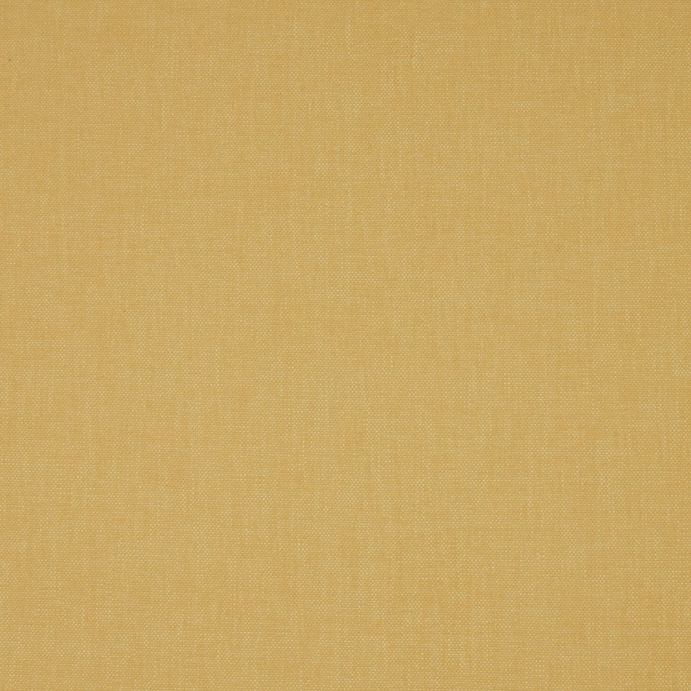 iLiv Eco Friendly Nadi Amber