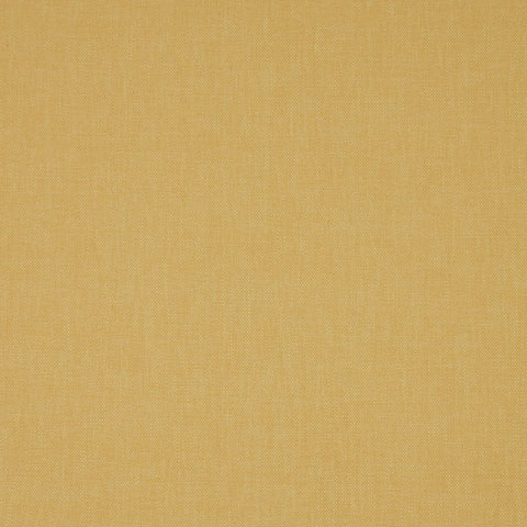 iLiv Eco Friendly Nadi Amber