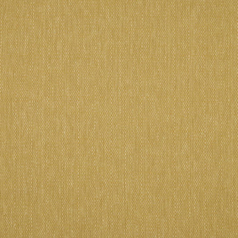 iLiv Eco Friendly Suvita Amber