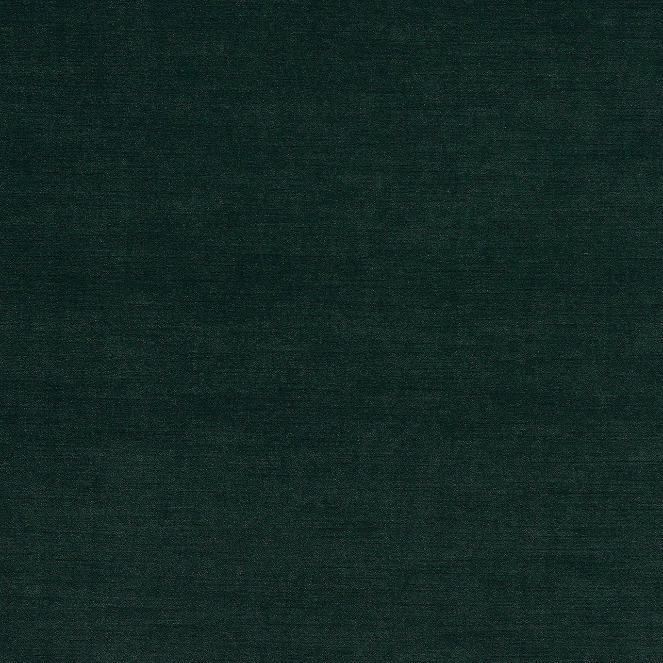 Clarke & Clarke Riva Forest Fire Retardant Velvet